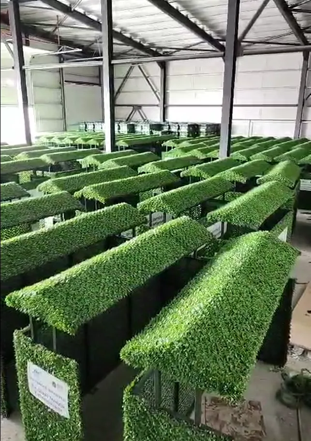 Çöp Konteyneri Çerçevesi ve Çim Çit Alımı - SULTANGAZİ BELEDİYESİ Slider Görsel 2